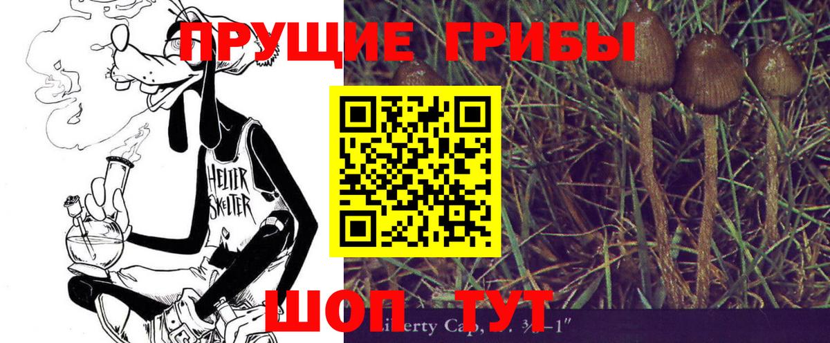 Псилоцибиновые грибы мухоморы Нововоронеж